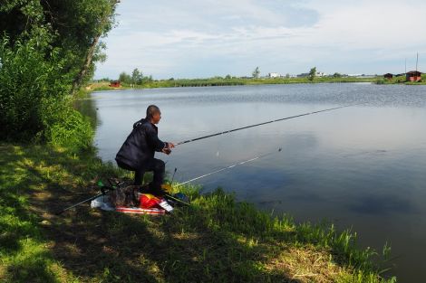 Рыбалка лесопарк